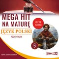 Mega hit na maturę. Język polski 5. Pozytywizm - audiobook
