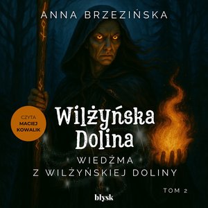 Wiedźma z Wilżyńskiej Doliny – audiobook
